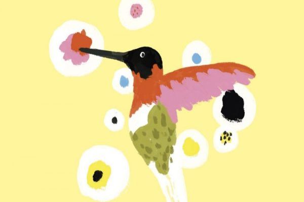 El colibrí, Sandro veronesi